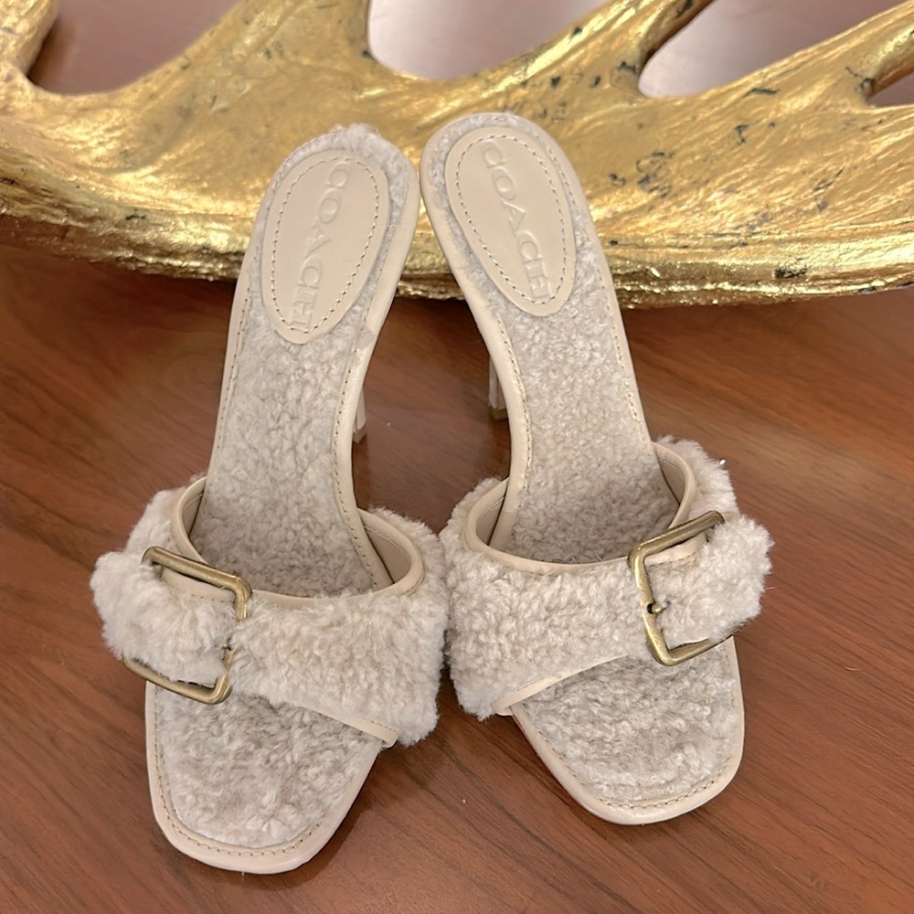 Coach Shearling Mules